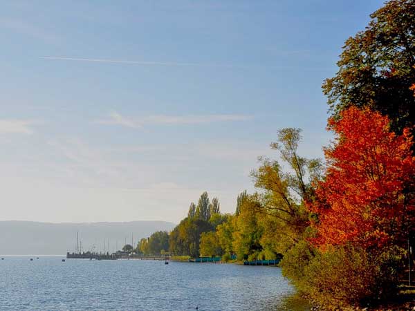 Осенние этюды у озера