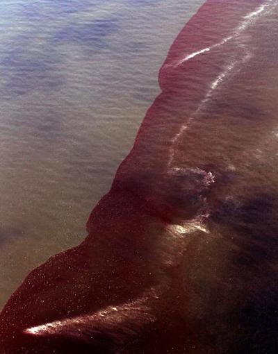 Разлив нефти в Мексиканском заливе называют «американским Чернобылем». Фоторепортаж