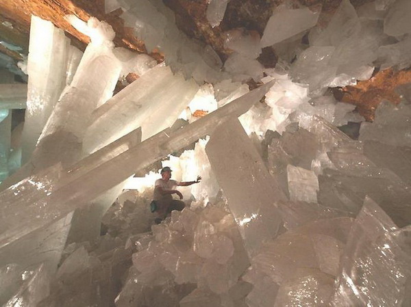 Пещера гигантских кристаллов. Фото с сайта animalworld.com.ua