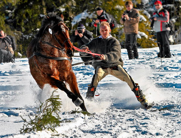 Зимой не до скуки. Лошадь тянет лыжника на традиционном соревновании горцев в Мале Цихе, Польша, 30 января. Фото: sportpicture.ru