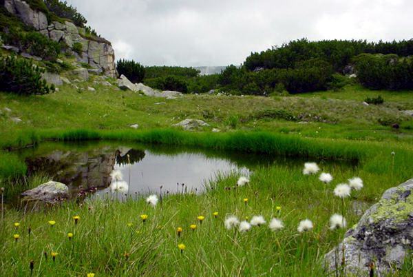 Национальный парк Болгарии Витоша