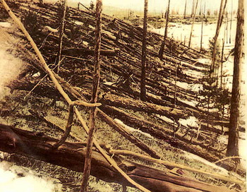 Упавшие деревья в районе Тунгусского события. Фото с сайта ru.wikipedia.org