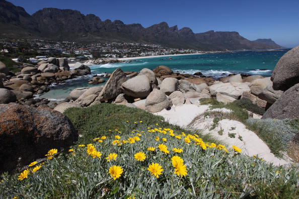 Природа Южной Африки. Фото: Dan Kitwood/Getty Images