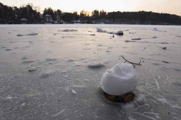Водоемы в Германии покрылись льдом. Фото: Sean Gallup/Getty Images