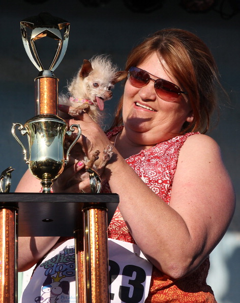Фоторепортаж о конкурсе  «Самая уродливая собака в мире». Фото: Justin Sullivan/Getty Images