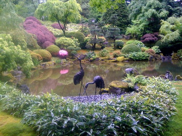 Японский сад. Фото с сайта animalworld.com.ua