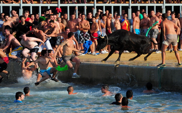 Испанский фестиваль «Быки в море». Фото: Jasper Juinen/Getty Images