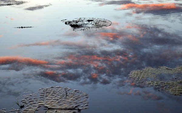 Гайяна. Ранчо Каранамбу. Небо в воде. Фото: Елизавета Кирина/tecnolux.ya.ru