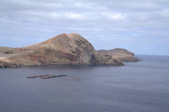 Мадейра – цветущий остров в Атлантическом океане. Часть 6