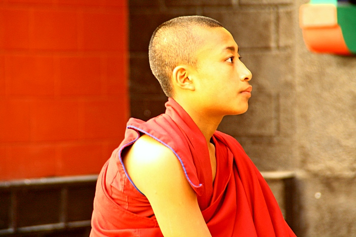 Дарджилинг: чайные плантации, буддийские монастыри и Гималаи. Часть 3