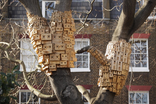 Инновационные скворечники в Лондоне. Фото: Dan Kitwood/Getty Images 