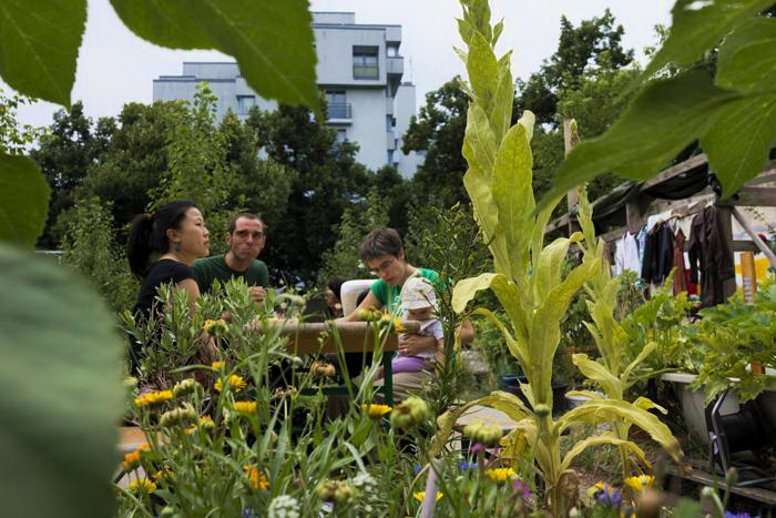 В Берлине стало популярным общественное садоводство