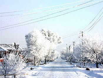 Улица в Батайске. Фото с bataysk-gorod.ru