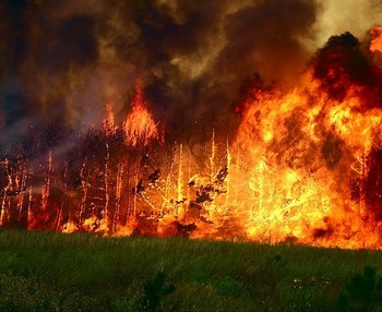 Лесные пожары охватили Нижегородскую область