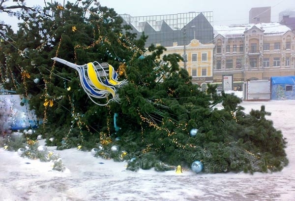 Упала самая дорогая елка в России. Фото: Юлия Гольченко. Великая Эпоха (The Epoch Times)