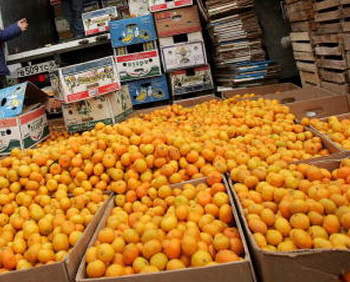 Около 800 кг мандаринов подарят москвичам перед Новым годом