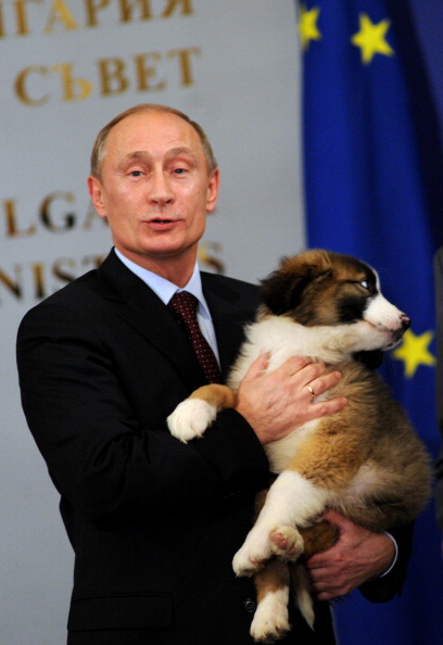 Болгарская каракачанская овчарка подарена российскому премьер-министру В.Путину в Софии