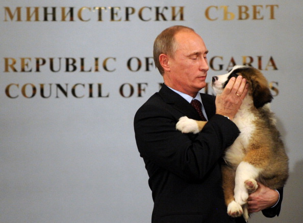 Болгарская каракачанская овчарка подарена российскому премьер-министру В.Путину в Софии
