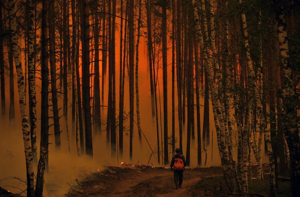 Задымление в Москве, вызванное сильными лесными пожарами, бушующими в Подмосковье,  и горящими торфяниками,  сегодня утром нарушило работу аэропортов Домодедово и Внуково. Фоторепортаж. Фото: NATALIA KOLESNIKOVA /ARTYOM KOROTAYEV