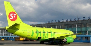 Самолет А-319, Омск-Москва, мог разбиться из-за птиц. Фото с сайта amurpolit.ru