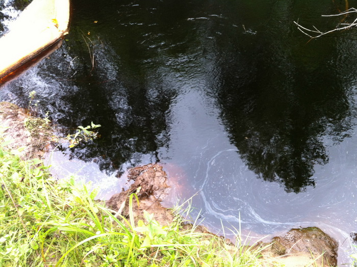 Больше года нефтепродукт из разлива в Ленинградской области загрязняет бассейн Невы