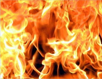 Пожар в селе Анчих локализован: сгорело 55 домов, погибших нет