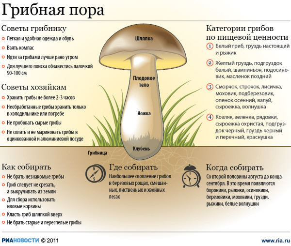 Врачи в Саратовской области борются за жизнь 22 человек, отравившихся грибами