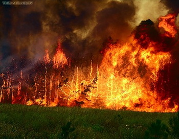 В Каменке Владимирской области вспыхнул  пожар