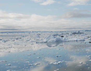 Льды в Беринговом Море. Фото: Slim ALLAGUI/AFP/Getty Images