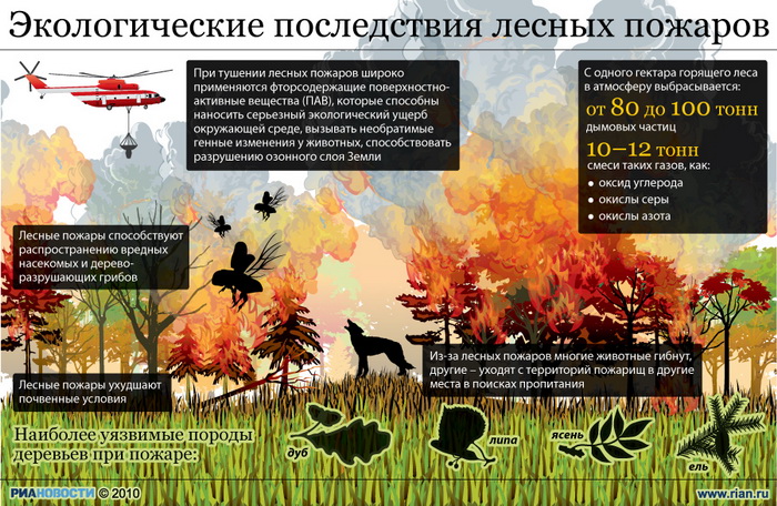Площадь природных пожаров в РФ сократилась за сутки почти на четверть - МЧС
