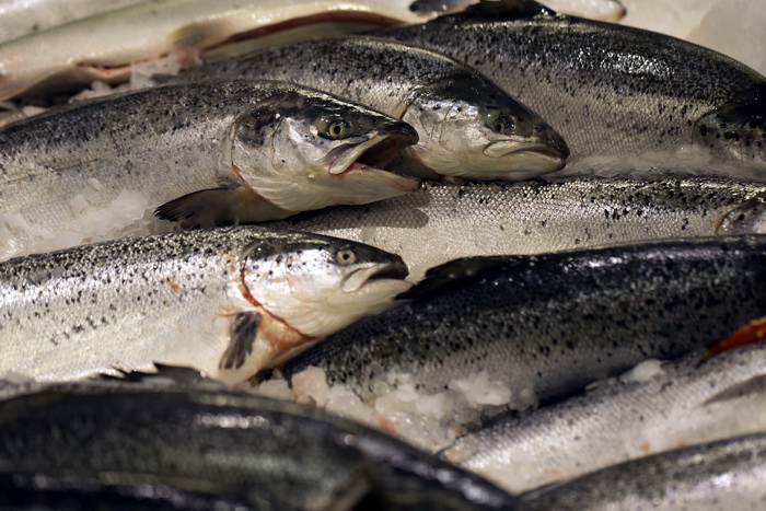 Ввоз норвежской рыбы в Россию ограничен