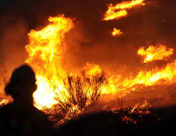 Сотни пожарных борются с лесными пожарами в Лос-Анджелесе. Фото: ROBYN BECK/AFP/Getty Images