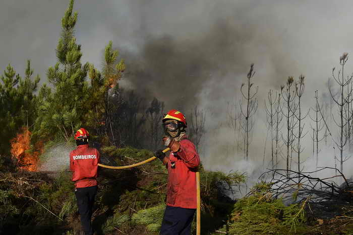 Лесные пожары в Португалии и Калифорнии