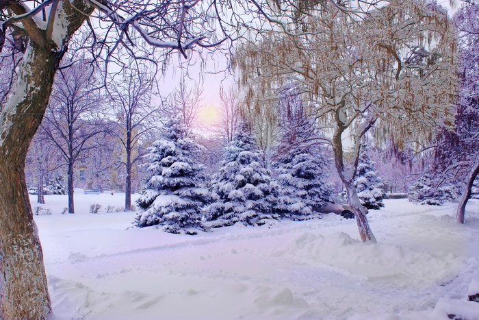Декабрь 2013 года стал самым тёплым в истории российского метеонаблюдения. Фото: Ирина Рудская/Великая Эпоха (The Epoch Times)