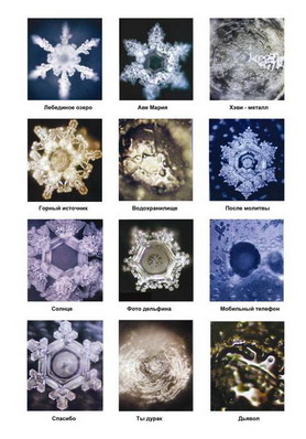 Кристаллы воды, подвергшиеся различным информациям. Фото: masaru-emoto.net