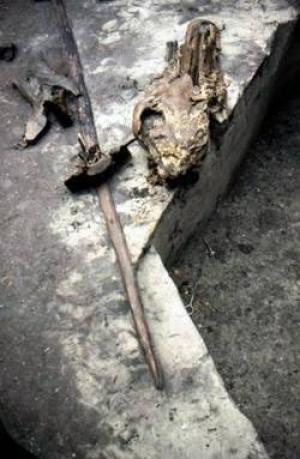 Археология в фотографиях: оружие каменного века найдено в Германии