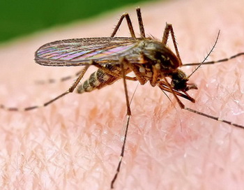 Современный отпугиватель комаров. Фото: komara.net