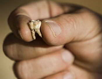Древнейшие останки человека найдены в  Иерусалиме
