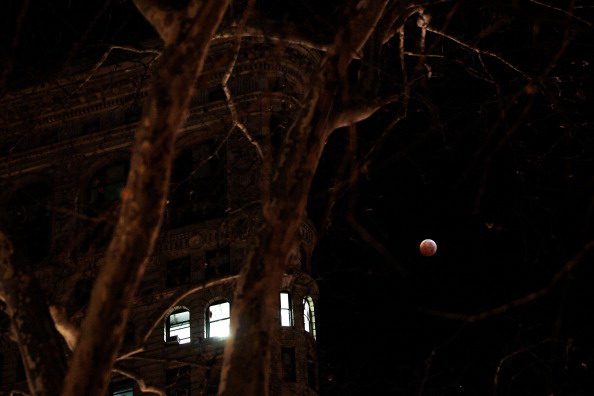 День зимнего солнцестояния впервые за 400 лет совпало с полным лунным затмением. Фотообзор. Фото: DON EMMERT, KAREN BLEIER/AFP/Getty Images