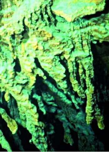 В сосульках из ржавчины на «Титанике» обнаружены новые бактерии