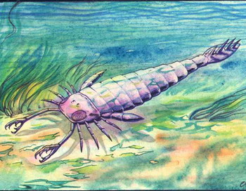 Древние морские скорпионы не так страшны, как ранее считалось. Фото с сайта evolbiol.ru