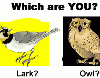 Кто ты-жаворонок или сова? Фото: liveinternet.ru
