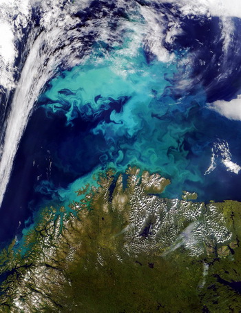 Экосистема Земли меняется, появления планктона в Атлантическом океане свидетельствует об этом. Фото: HO/AFP/Getty Images