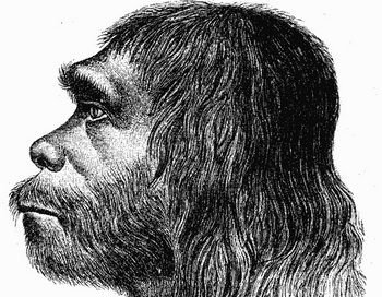 Неандертальцы умели организовать своё жилое пространство