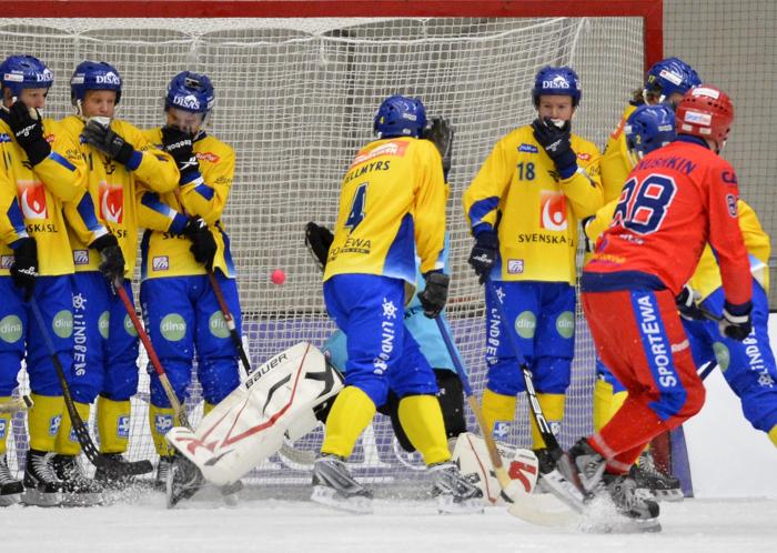 Сборная России стала семикратным чемпионом мира по хоккею с мячом