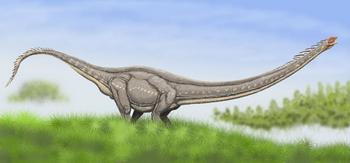 Маменчизавр. Ученые считали, что динозавры вымерли 65 млн лет назад от удара метеорита. Эта версия подверглась сомнению. Отчего вымерли динозавры - остается загадкой. Фото с сайта dinozavr.org