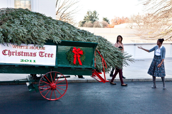 Рождественская ёлка прибыла в Белый дом. Фоторепортаж из Вашингтона