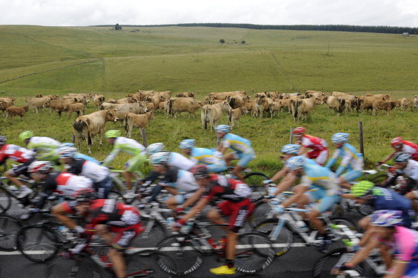 Девятый этап  велогонки Tour de France выиграл испанец Луис-Леон Санчес. Фоторепортаж с трассы