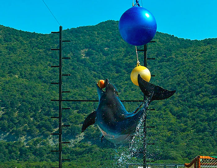 Анапский дельфинарий, находится в 20 км от курортного города Анапа в заповедной зоне на мысе Малый Утриш. фото: Darkenrau/commons.wikimedia.org