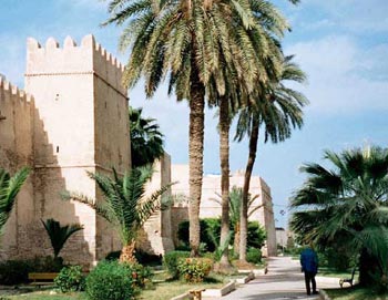 Тунис. Фото: Moumou82/commons.wikimedia.org